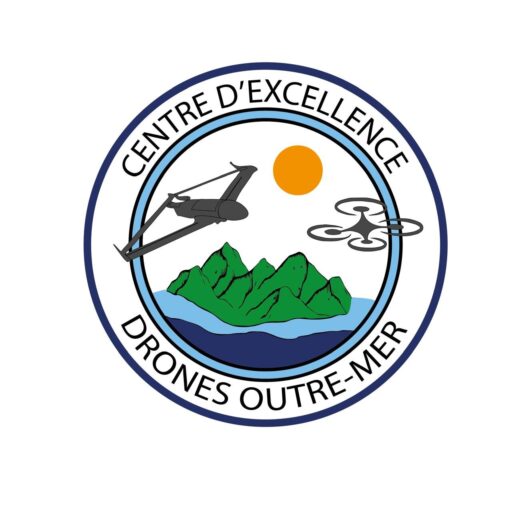 Logo CEDO